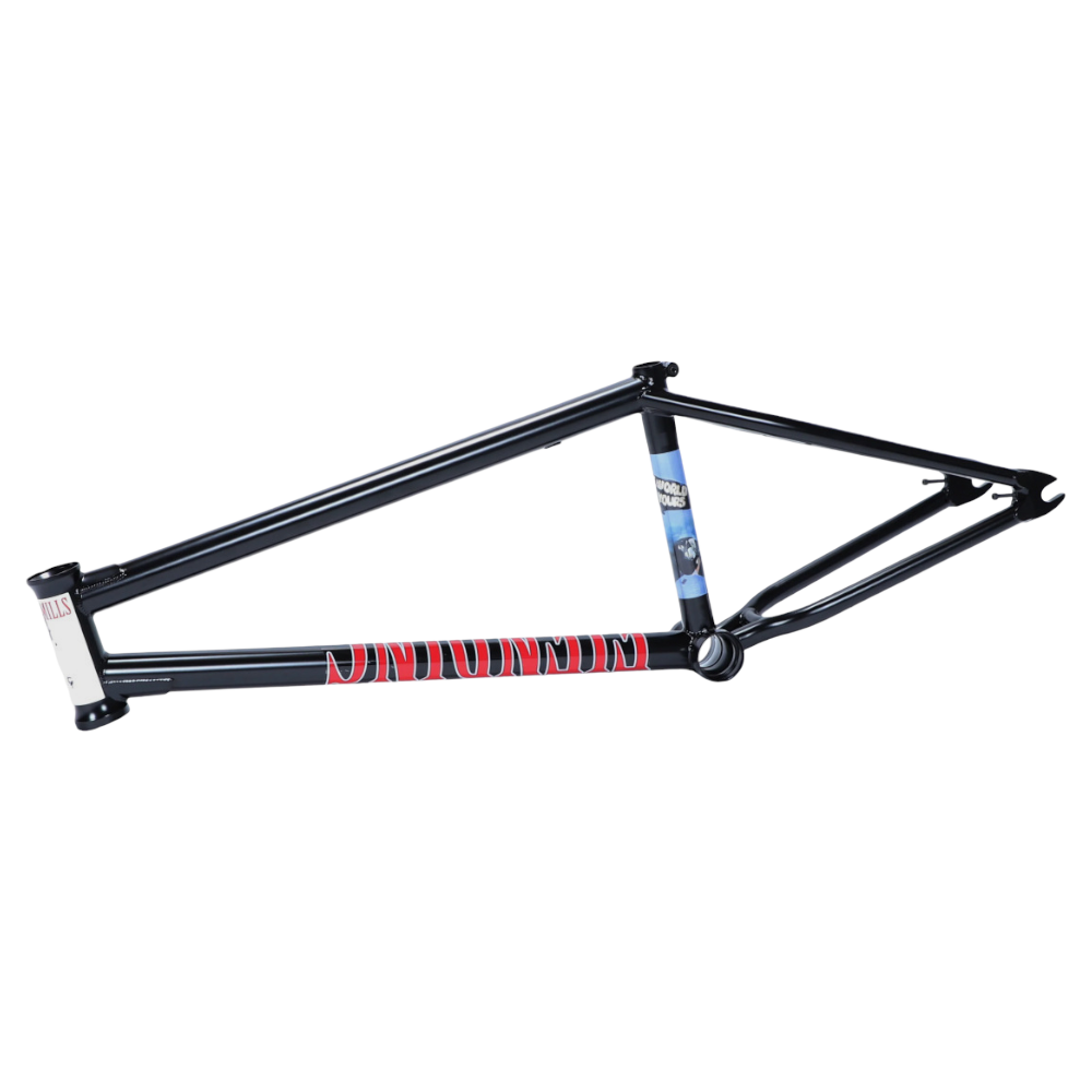 Fiend Lewis Mills BMX frame