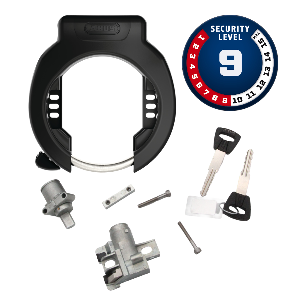 ABUS Pro Amparo 4750XL NR BK 0E Rahmenschloss + BOSCH Intube IT2.1 Downtube DT2 - Bikers Base